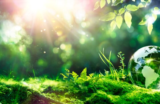 Earth,Day,-,Environment,-,Green,Globe,In,Forest,With
